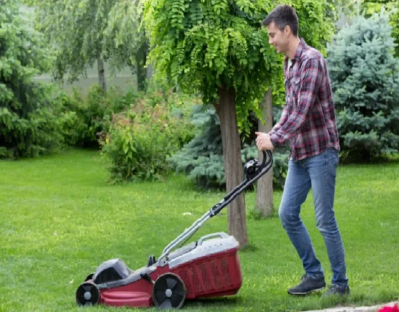 Buying a Cordless or Electric Lawn Mower for the Garden 