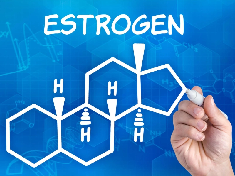 Estrogen Blockers Market is estimated to be valued at US$ 15.02 billion in 2023
