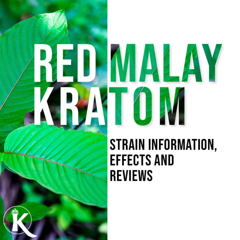 What Is Red Malay Kratom: Strain Information, Effects And Reviews