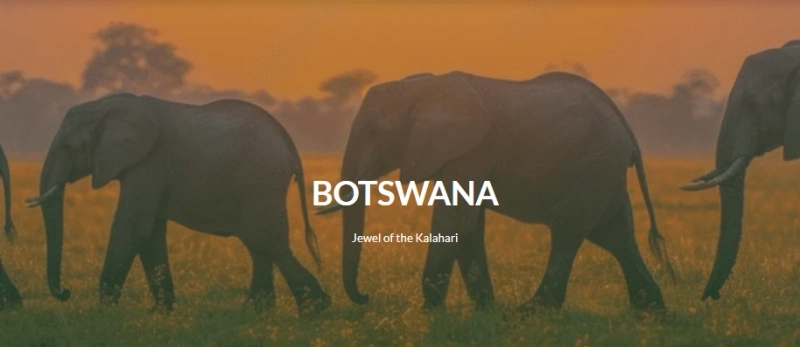 Discover Luxury Botswana Safaris: Exclusive Camps and Untamed Beauty