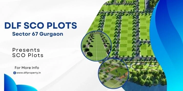 DLF SCO Plots Sector 67 Gurgaon - Best Investment Option