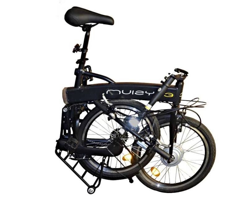 Electric Bikes, a New Global Trendsetter