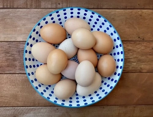 Top 10 Reasons to Choose Free Range Eggs