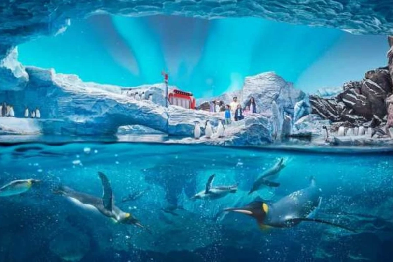 The top 8 Captivating Realms of SeaWorld Abu Dhabi