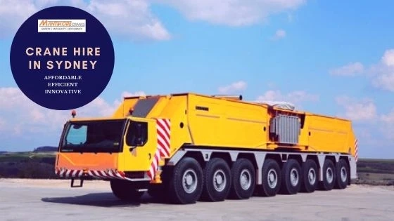 Effective tree removal services through crane hire in Sydney