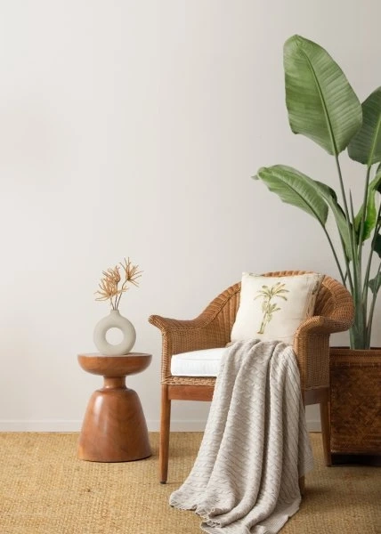 Wooden Chairs Online at Gulmohar Lane