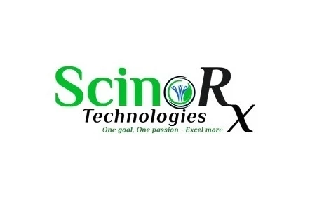 How to Choose an Best SEO Company