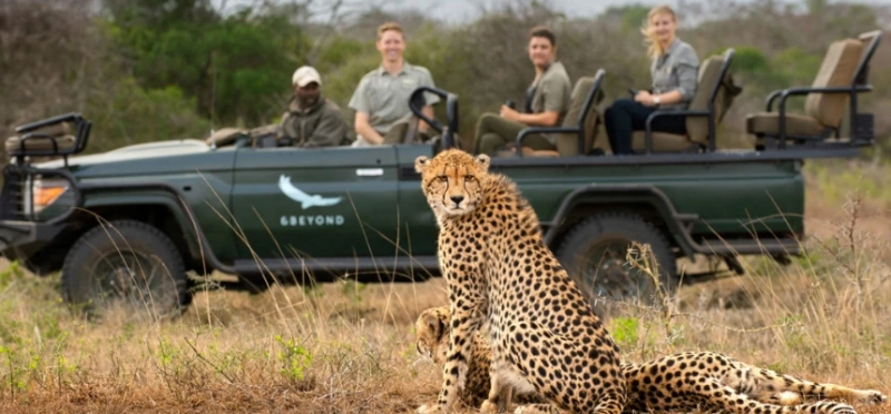 Safari Secrets: Wild Wonders of Southern Africa | Luxury Getaways