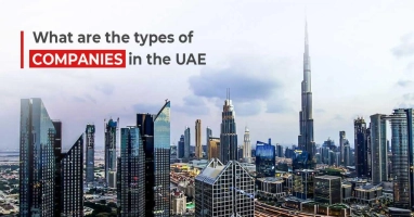 What are the Types of Companies in the UAE?