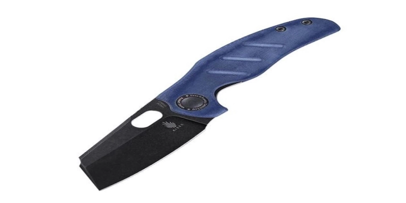 Is the Kizer Begleiter the Best Kizer Knife?