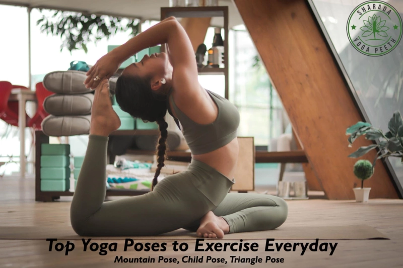 Top Yoga Poses to Exercise Everyday