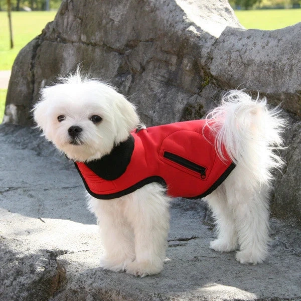 Shop Trendy Clothes for Dogs & Cats at the Best Pet Clothing Store