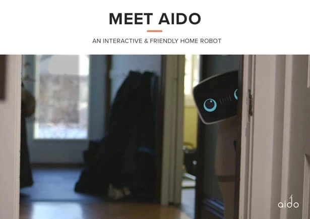 When Will Humanoid Robots Enter Our Homes and Transform Our Lives