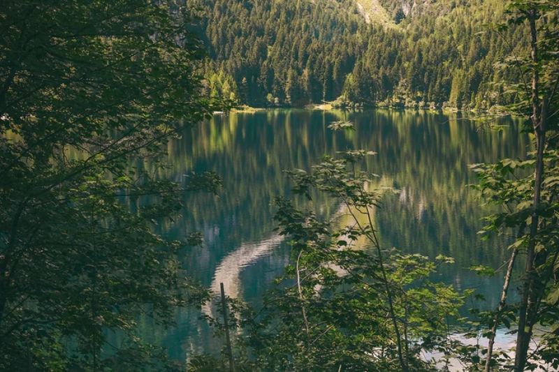 How Eco-Friendly Companies are Transforming Consumer Choices