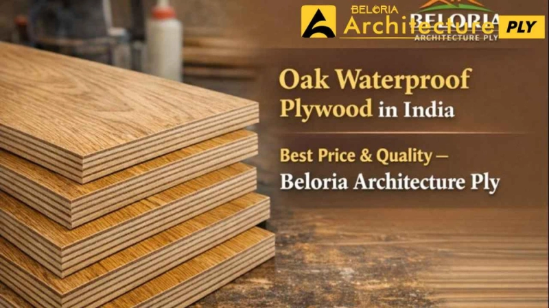 Oak Pro Waterproof Plywood in India | Best Price & Quality – Beloria Architecture Ply