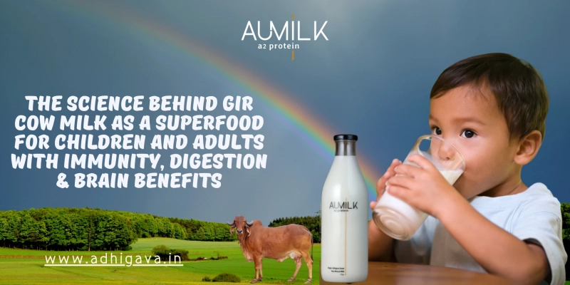 The Science Behind Gir Cow Milk as a Superfood for Children and Adults With Immunity, Digestion & Brain Benefits