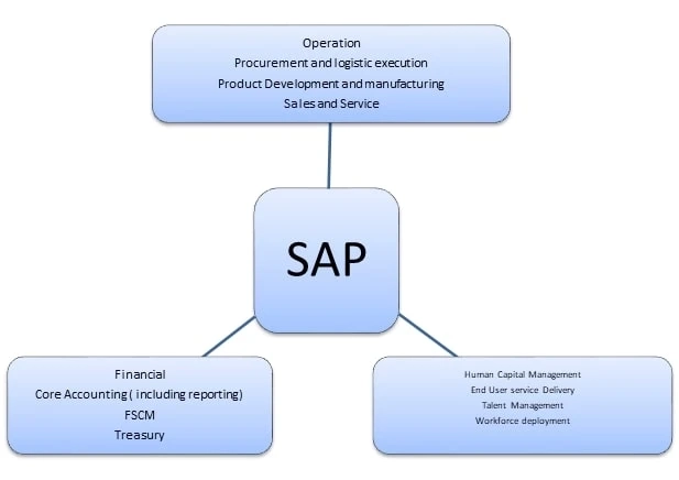 How Can SAP Bookkeeping Services Transform Your Financial Management?