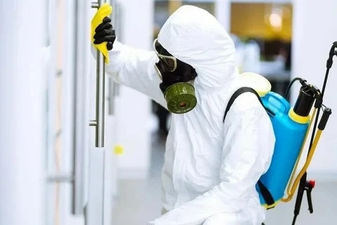 Safeguarding Homes and Businesses: A Comprehensive Guide to Pest Control Services in Dubai and Abu Dhabi