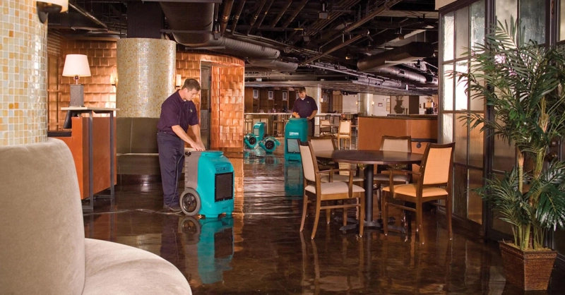 7 Tips for Choosing a Water Damage Restoration Company You Can Trust