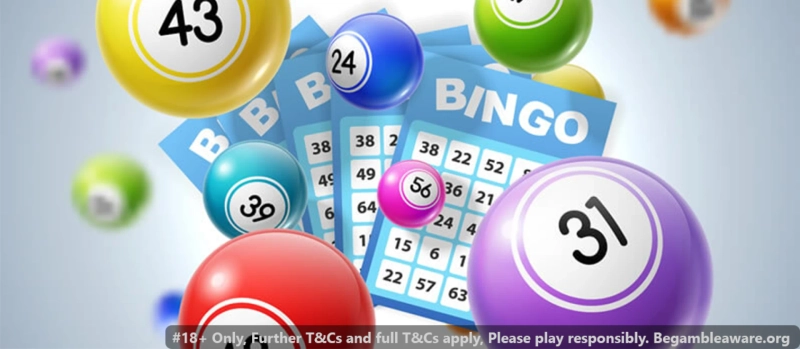 Play online bingo sites just for fun