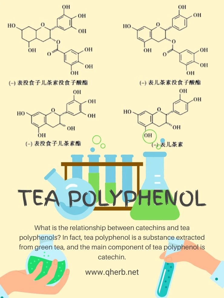 What is Tea Polyphenol？