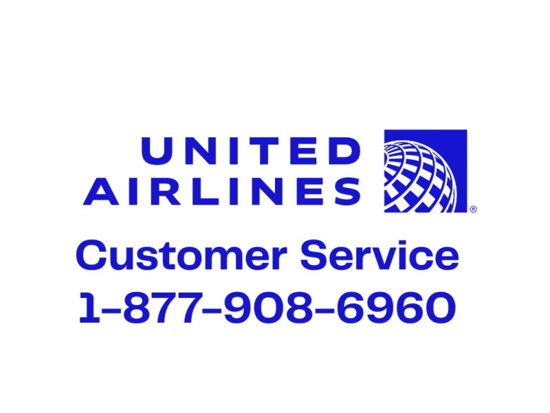 Full List of American Airlines Airlines Customer® Contact Numbers in USA : A Complete Guide
