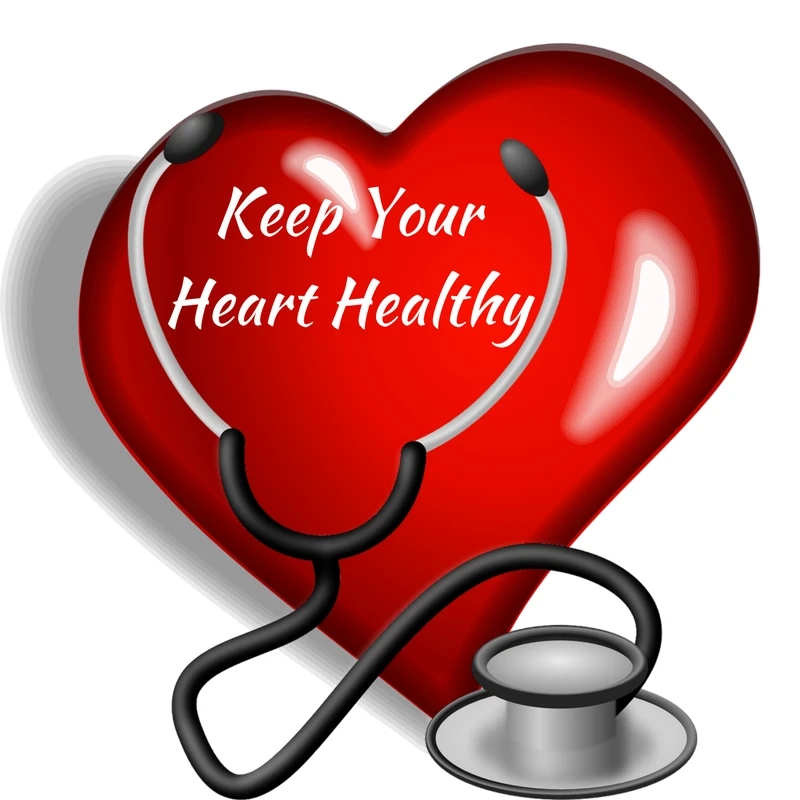 A Rational Point of View You Should See on the Causes of Heart Disease