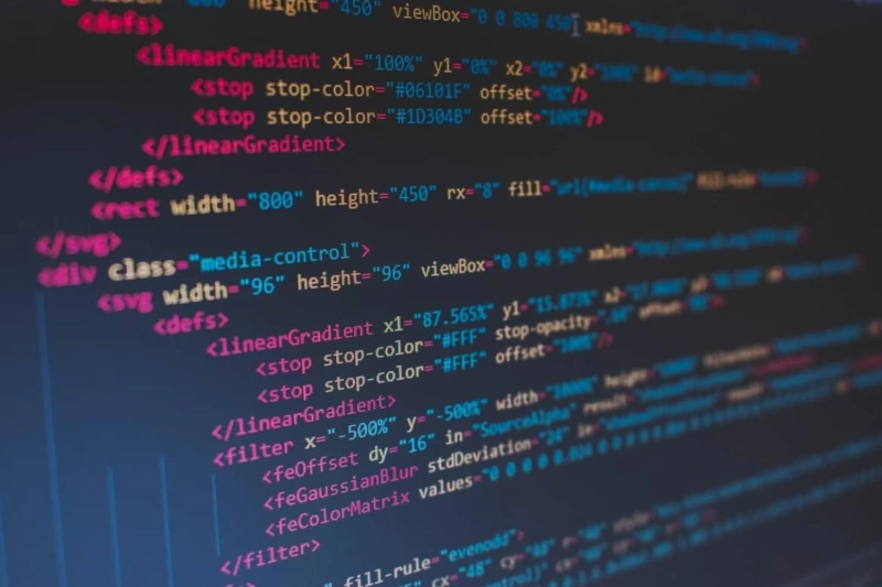 Which Programming Language Does SaaS Use?