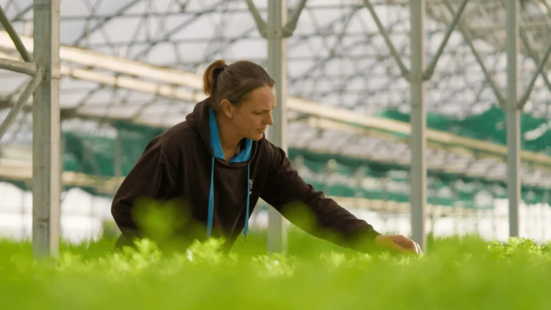 Why Kiwi Brands Are Turning to Video for Growth