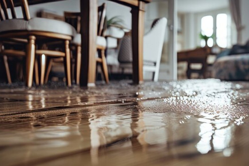 What Are The Potential Risks and Challenges of Water Damage Cleanup?