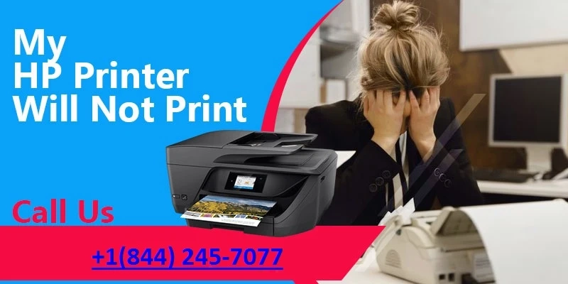 My HP Printer Will Not Print