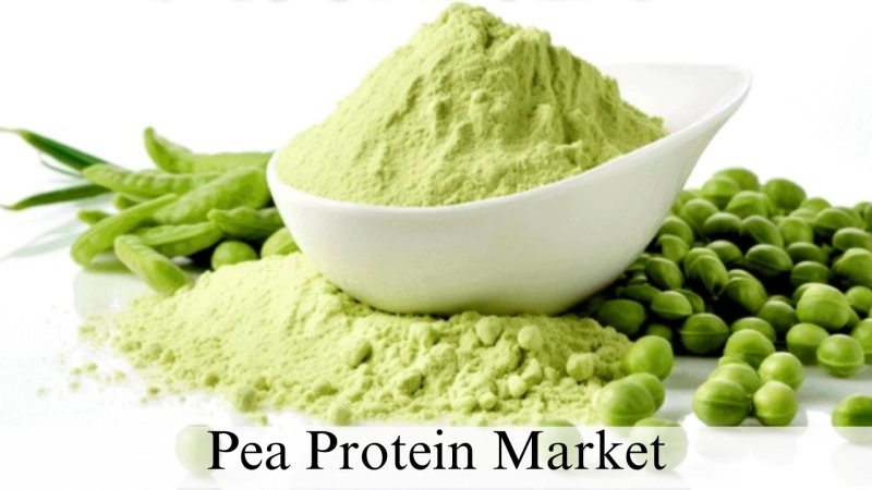 Pea Protein Market Size, Growth Insights and Forecast to 2032
