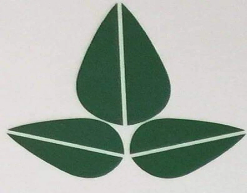 Cyber Security Experts Boston — Protecting Your Business with Next-Gen Defense