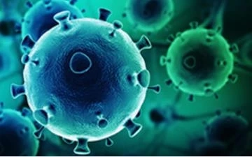 Check Out Top Three Most Popular Types of Oncolytic Virus