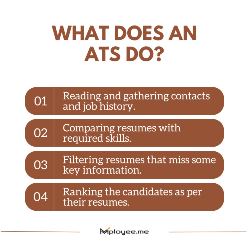 Build & Check Resume Online Free for Freshers