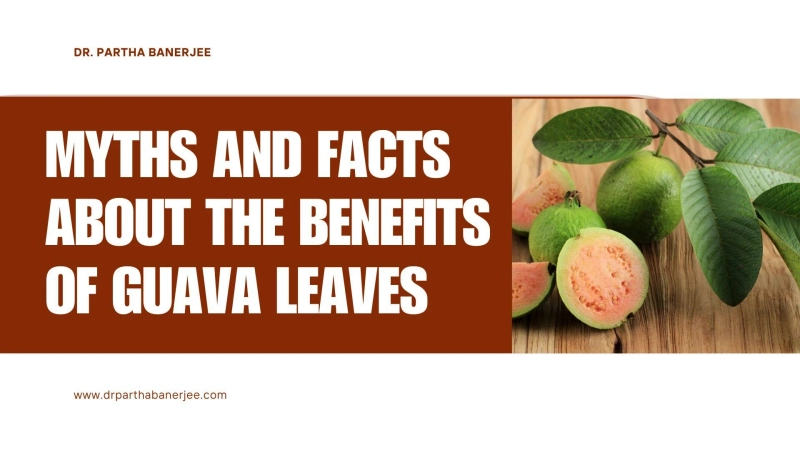 Myths and Facts About the Benefits of Guava Leaves