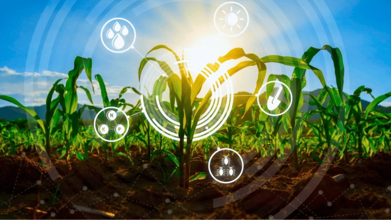 Cost to Develop AgTech Software in 2024