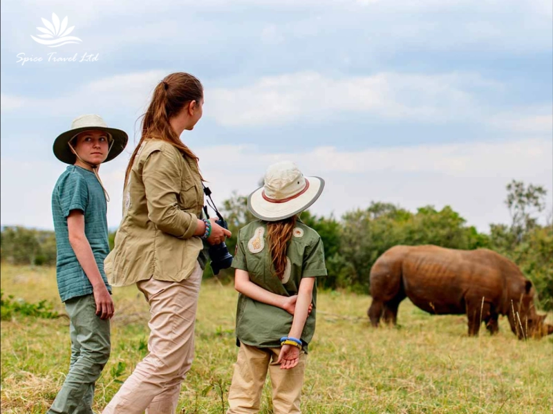 Best Travel Agents in Nairobi for Luxury and Budget-Friendly Trips