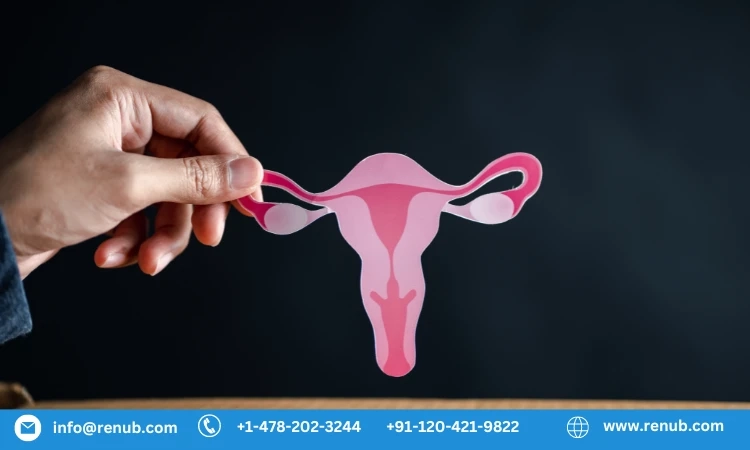 Europe Cervical Cancer Screening Market, Size, Forecast 2023-2028