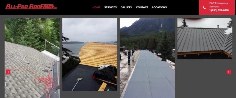 Expert Roof Repair Services: Trust the Pros