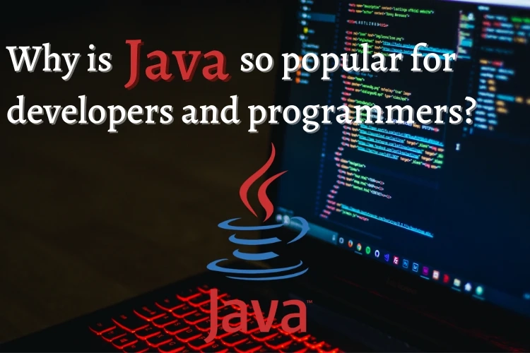 Why is Java so popular for developers and programmers?