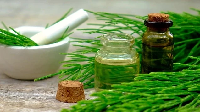 היופי הנצחי של קטורת, קערות קטורת ושמנים ארומטיים