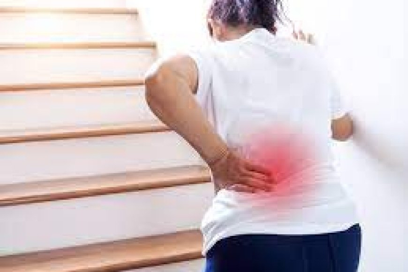 Comprehensive Guide to Preventing and Managing Back Pain