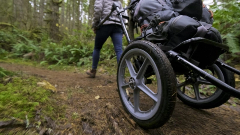 Advantages and disadvantages of booking travel online