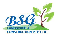 Finding Top-Quality Professional Tree Pruning Services Near You