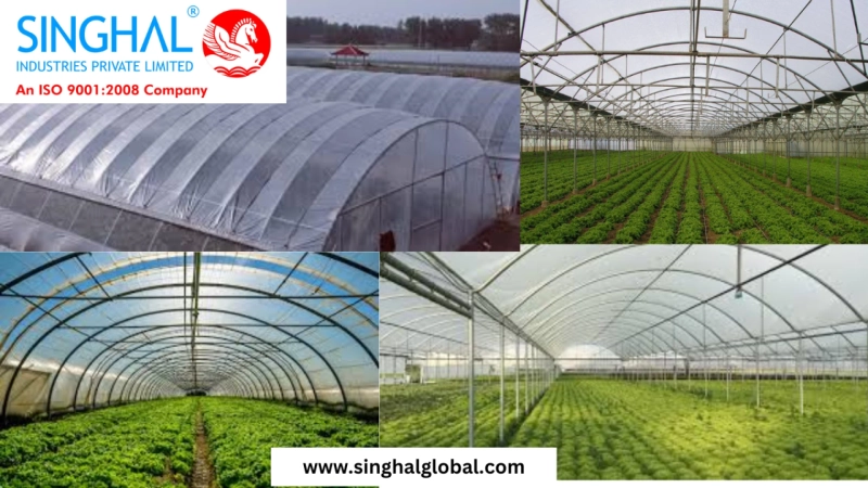 The Benefits and Importance of Greenhouse Films in Modern Agriculture
