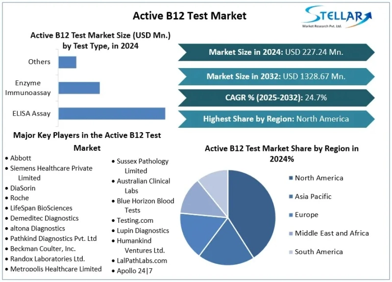 Point-of-Care Testing Propels Active B12 Test Market Expansion