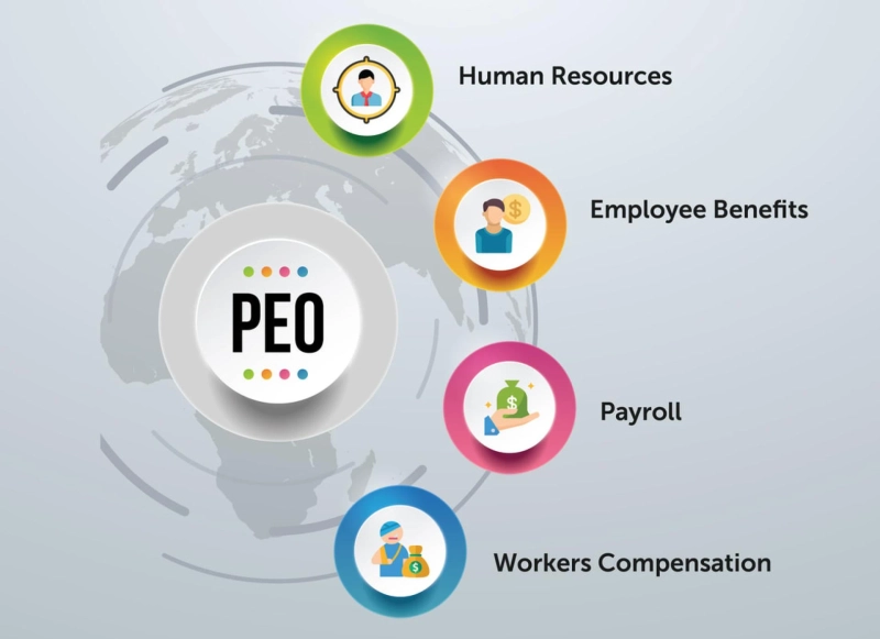 How does professional employer work in india