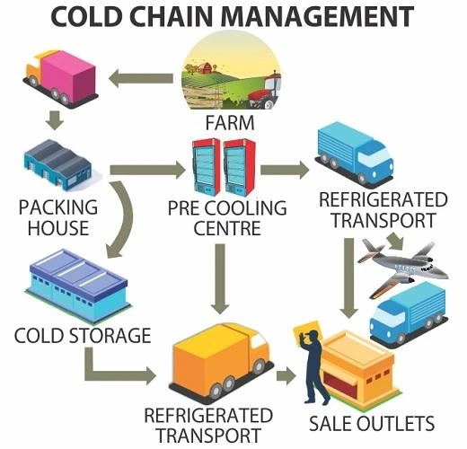 Malaysia Cold Chain revenue to cross USD 100 Mn by 2026- What factors will help it reach there? Ken Research