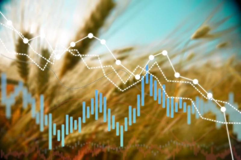 Why KYC Automation is Crucial for Hedge Fund Compliance  Introduction